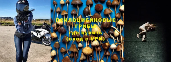apvp Армянск