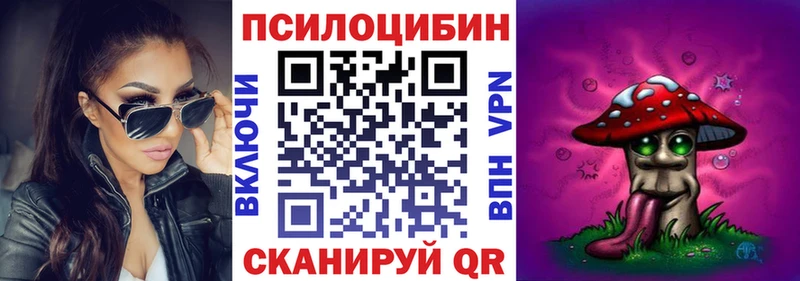 как найти закладки  Рудня  Псилоцибиновые грибы Cubensis 